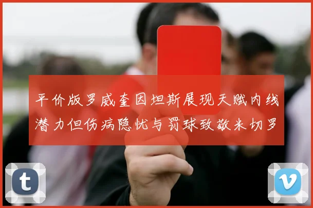 平价版罗威奎因坦斯展现天赋内线潜力但伤病隐忧与罚球致敬米切罗