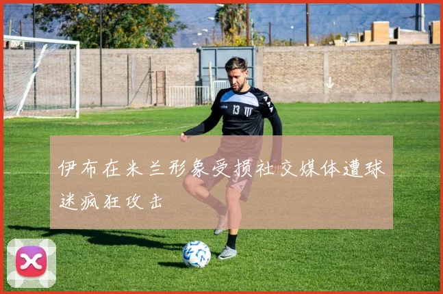 伊布在米兰形象受损社交媒体遭球迷疯狂攻击