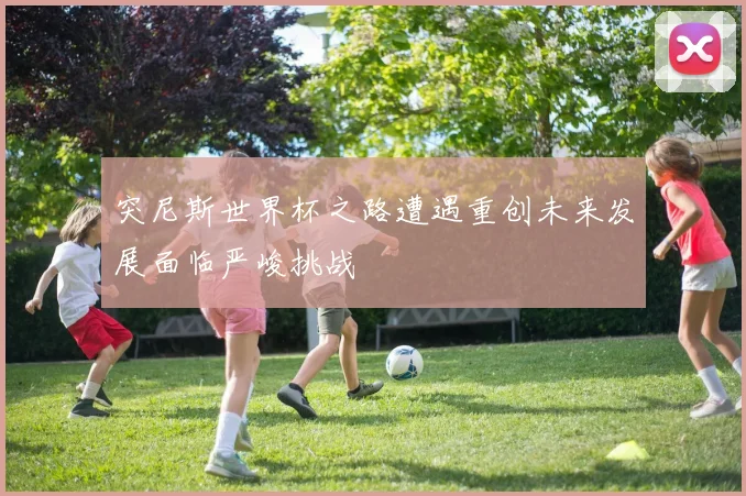 突尼斯世界杯之路遭遇重创未来发展面临严峻挑战