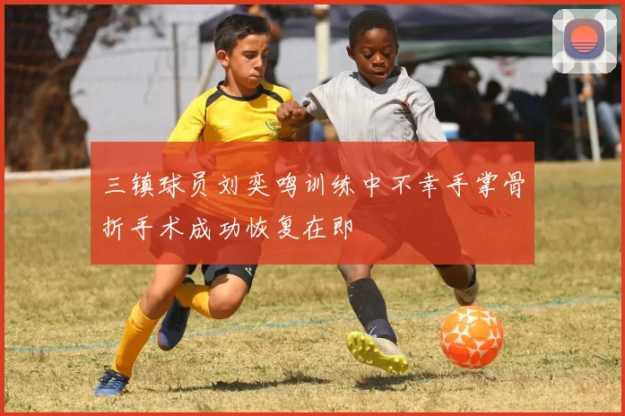 三镇球员刘奕鸣训练中不幸手掌骨折手术成功恢复在即