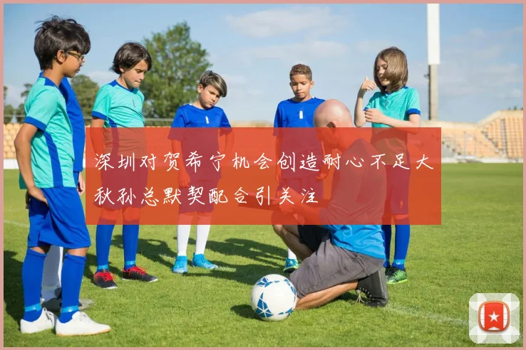 深圳对贺希宁机会创造耐心不足大秋孙总默契配合引关注