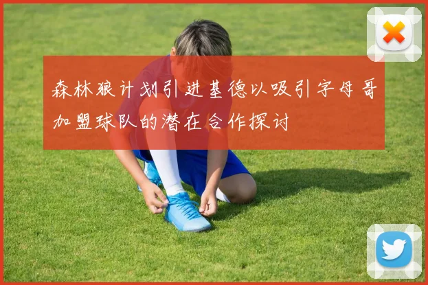 森林狼计划引进基德以吸引字母哥加盟球队的潜在合作探讨